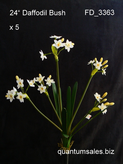 24" Daffodil Bush x 5  ( $6.30 )